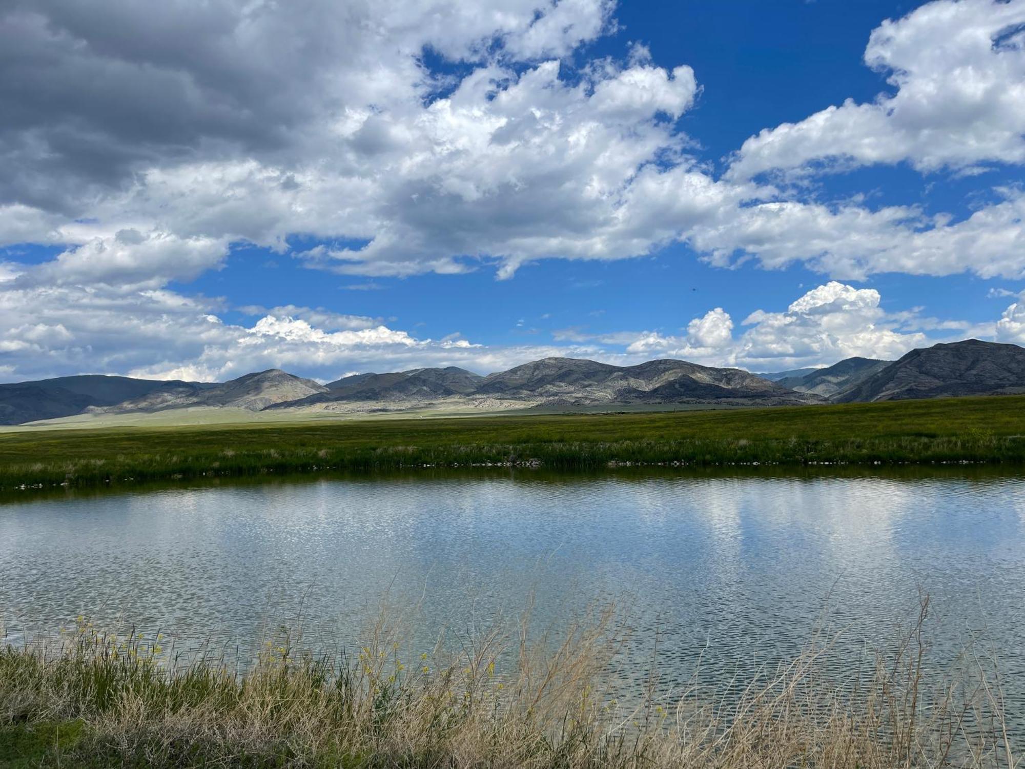 بوتي Sportsman Lodge Melrose Mt المظهر الخارجي الصورة